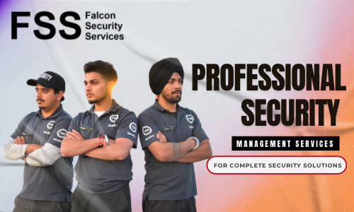 Professional Security Management Services For Complete Security Solutions